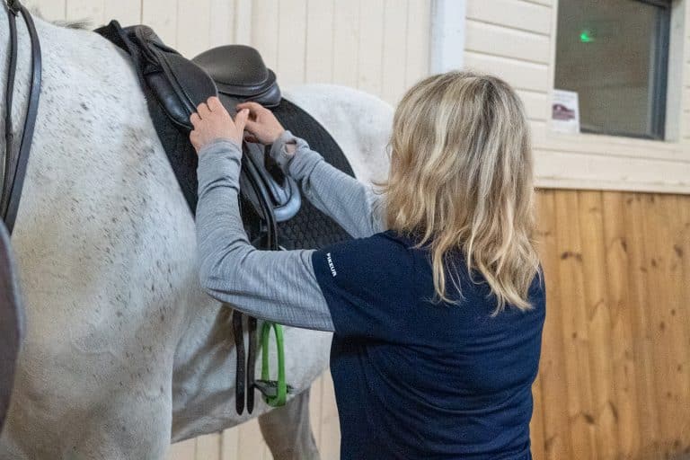 saddle check on a horse